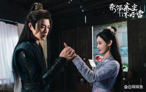 奈何寨主不好当