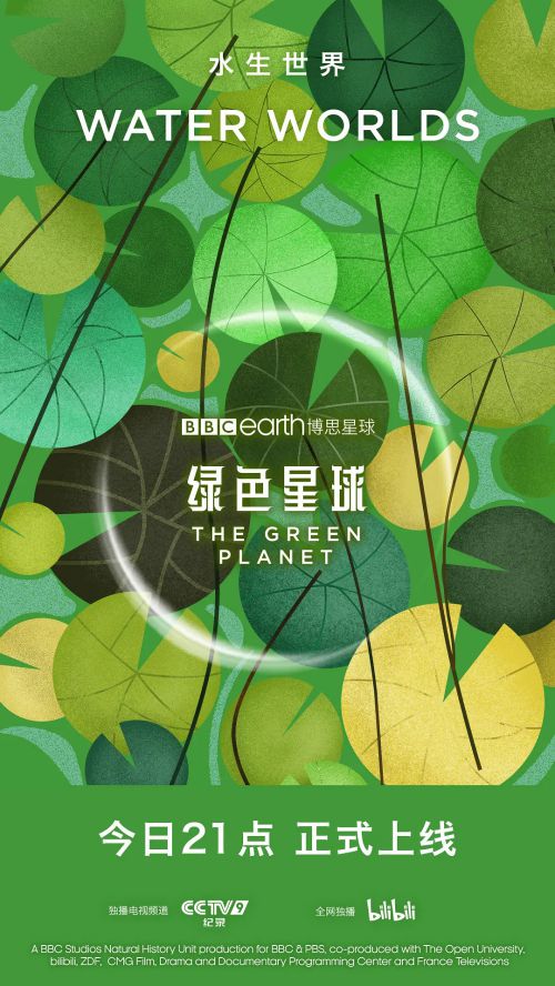 绿色星球