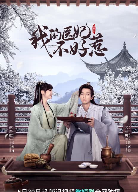 我的医妃不好惹 第三季