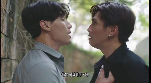 隐爱议程