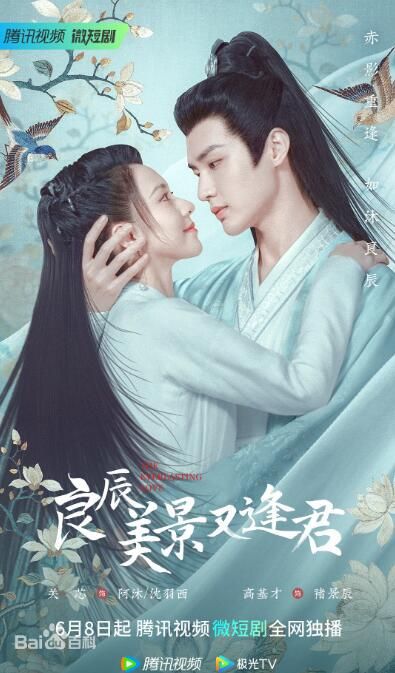 良辰美景又逢君