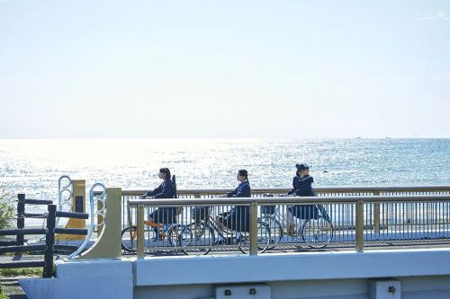 放学后海堤日记 放課後ていぼう日誌