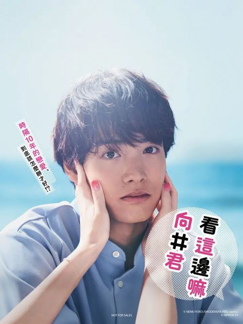 往这边看 向井君 こっち向いてよ向井くん