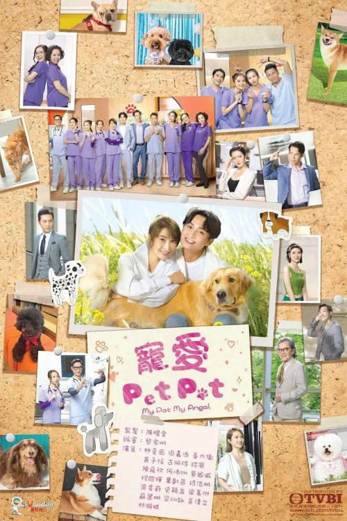 宠爱Pet