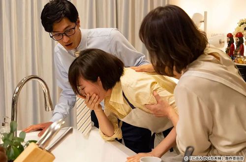 二分之一的夫妇 にぶんのいち夫婦