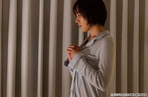 二分之一的夫妇 にぶんのいち夫婦
