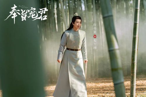 奉旨宠君