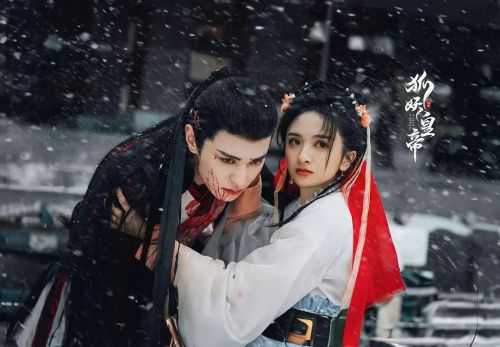 风月如雪