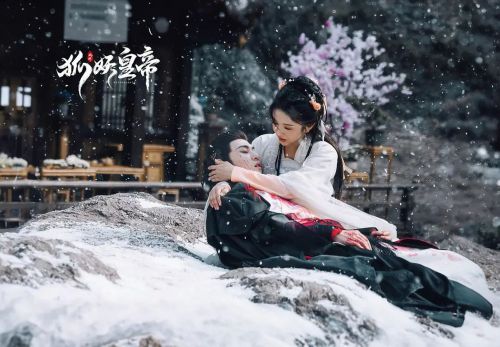 风月如雪